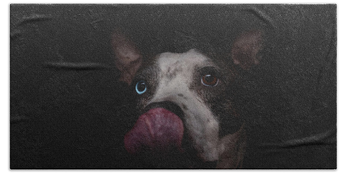 Animal Bath Towel featuring the photograph Cleo #2 by Brian Cross