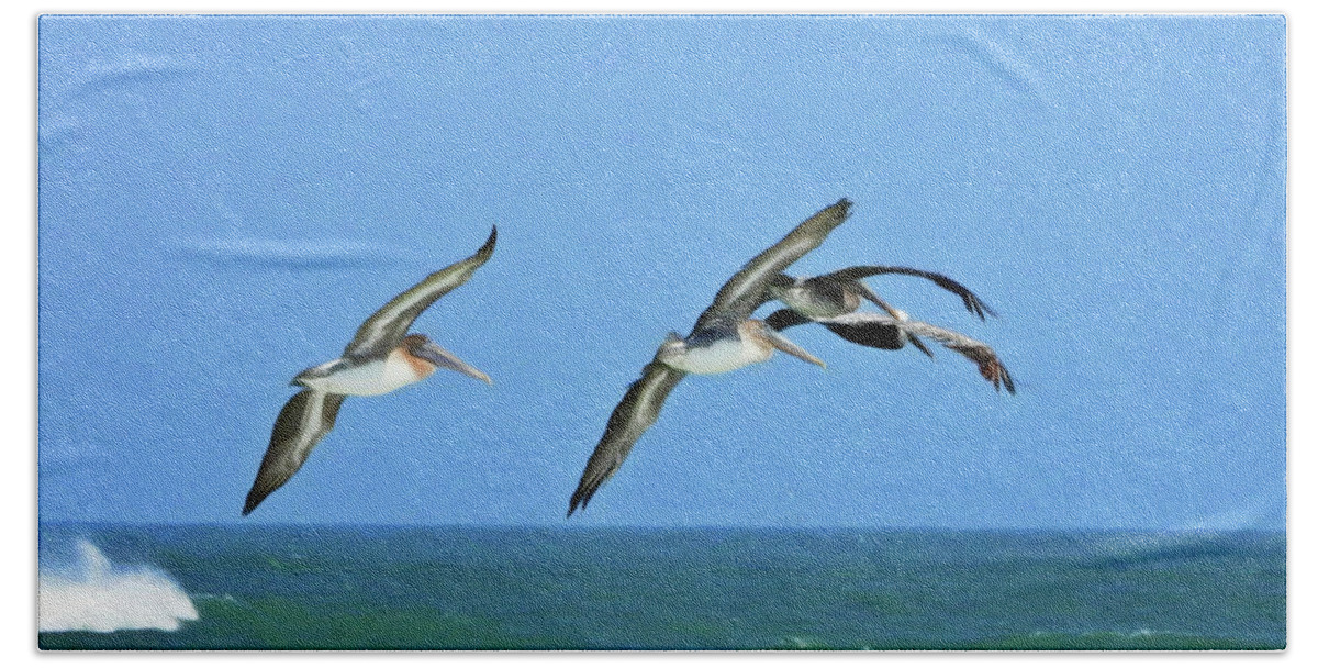 Pelicans Bath Towel featuring the photograph Follow the Leader #2 by Scott Cameron