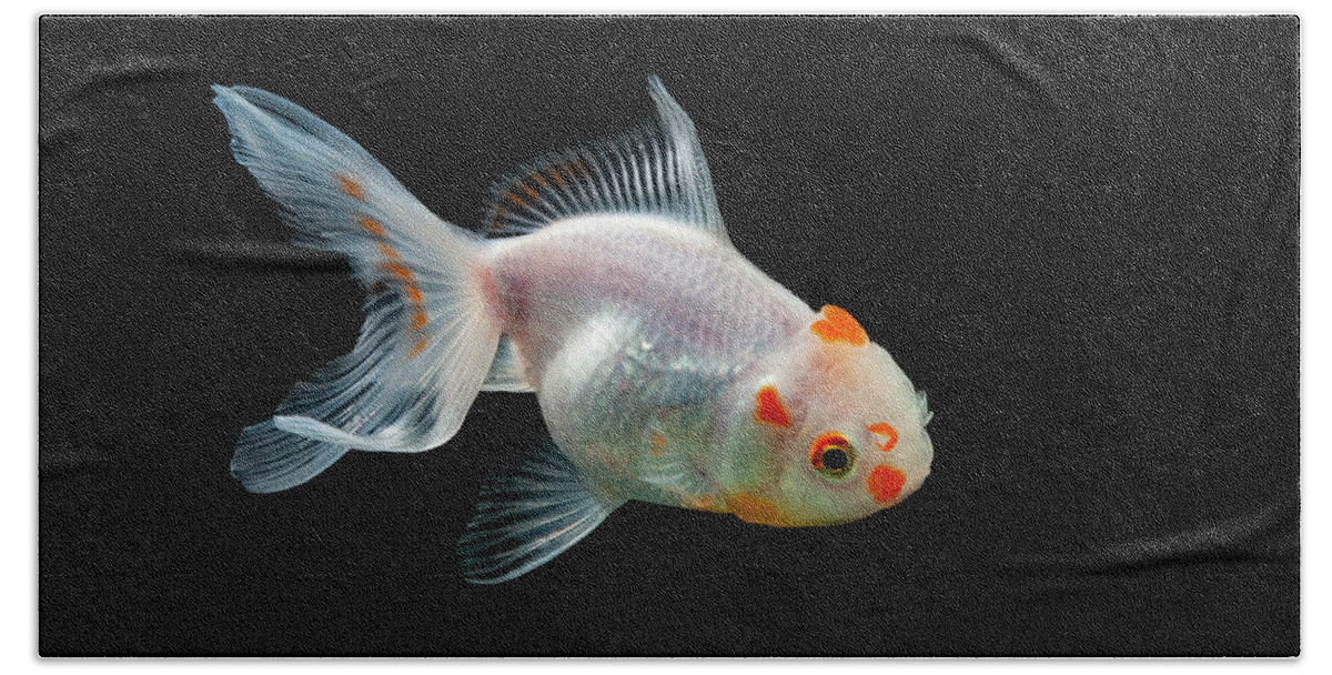 Fish Bath Towel featuring the photograph Golden Fish #3 by Irman Andriana