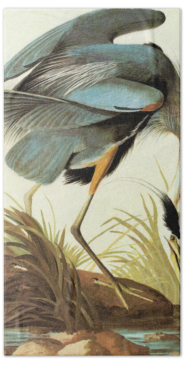 Ornithologist Hand Towel featuring the painting Great Blue Heron #2 by John James Audubon