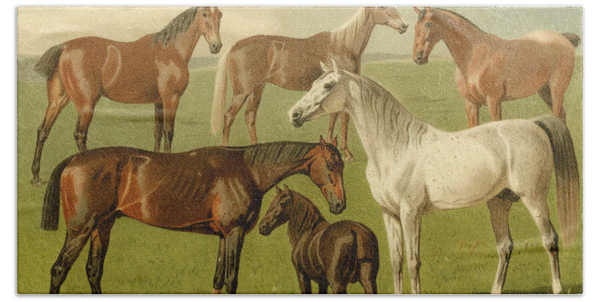 Horses Hand Towel featuring the painting Horse Breeds I #2 by Emil Volkers