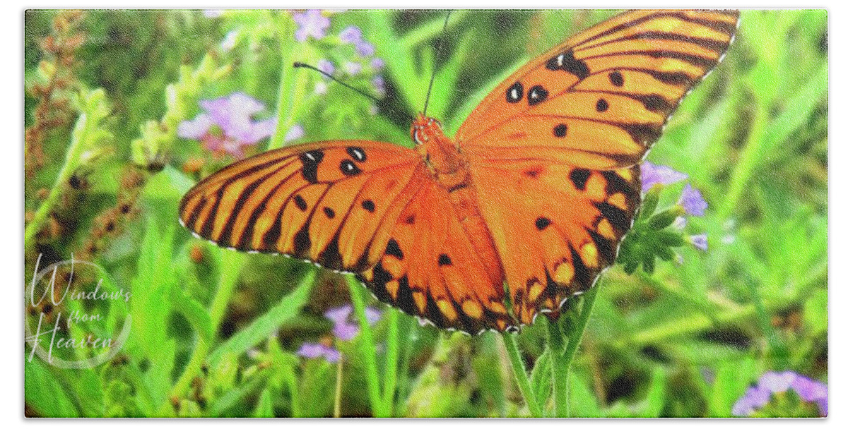 Butterfly Bath Towel featuring the photograph Orange Butterfly #3 by Matthew Seufer