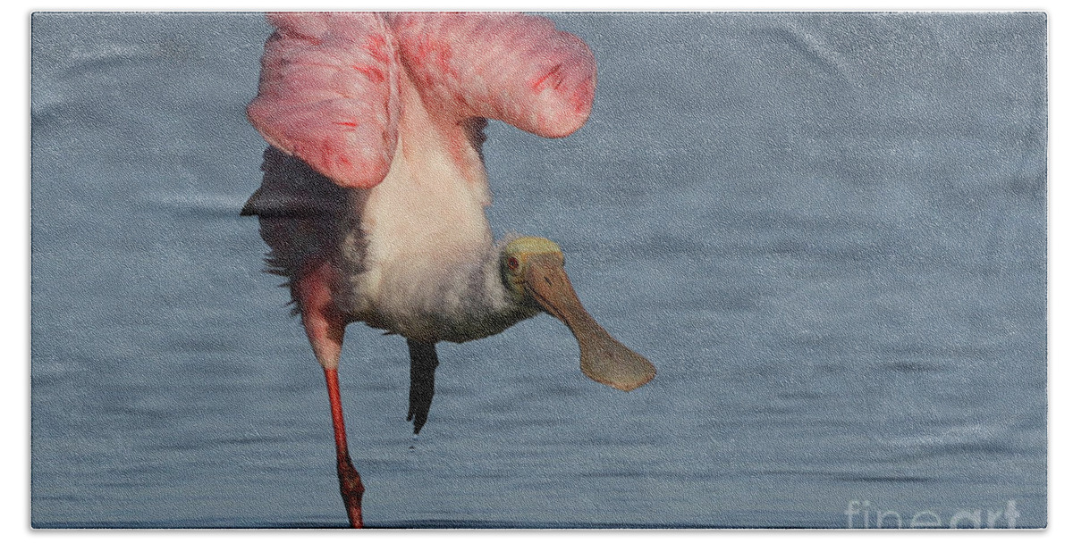 Roseate Spoonbill Bath Towel featuring the photograph Roseate Spoonbill #2 by Meg Rousher