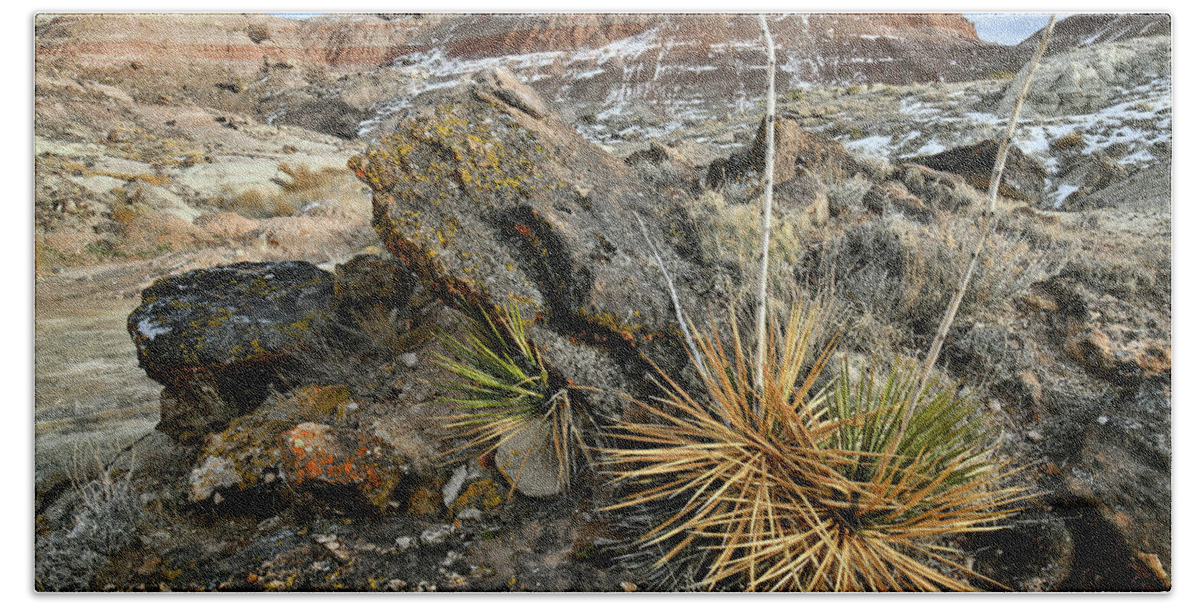 Ruby Mountain Bath Towel featuring the photograph The Backside of Ruby Mountain #2 by Ray Mathis