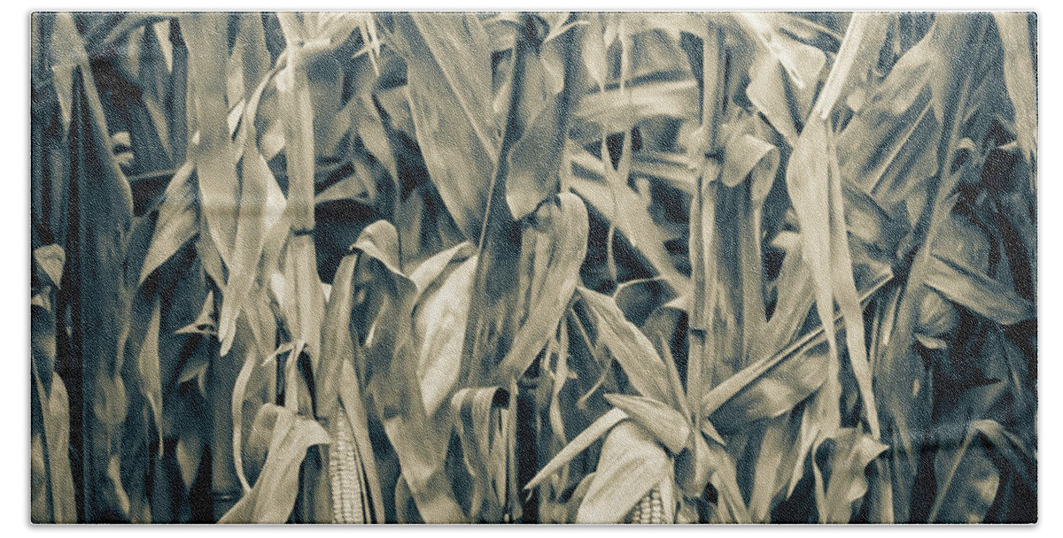 Corn Hand Towel featuring the photograph 2018 Corn by Troy Stapek