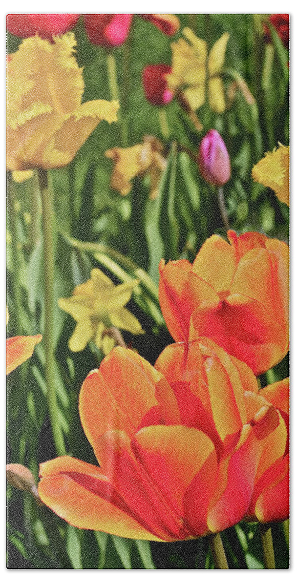 Tulips Hand Towel featuring the photograph 2019 Acewood Tulips and Daffodils 1 by Janis Senungetuk