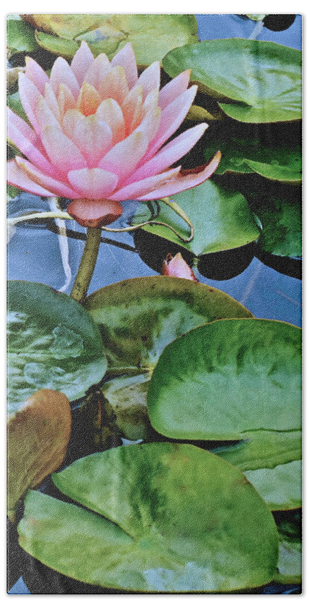 Waterlily Hand Towel featuring the photograph 2019 August at the Gardens Patio Joe Waterlily by Janis Senungetuk