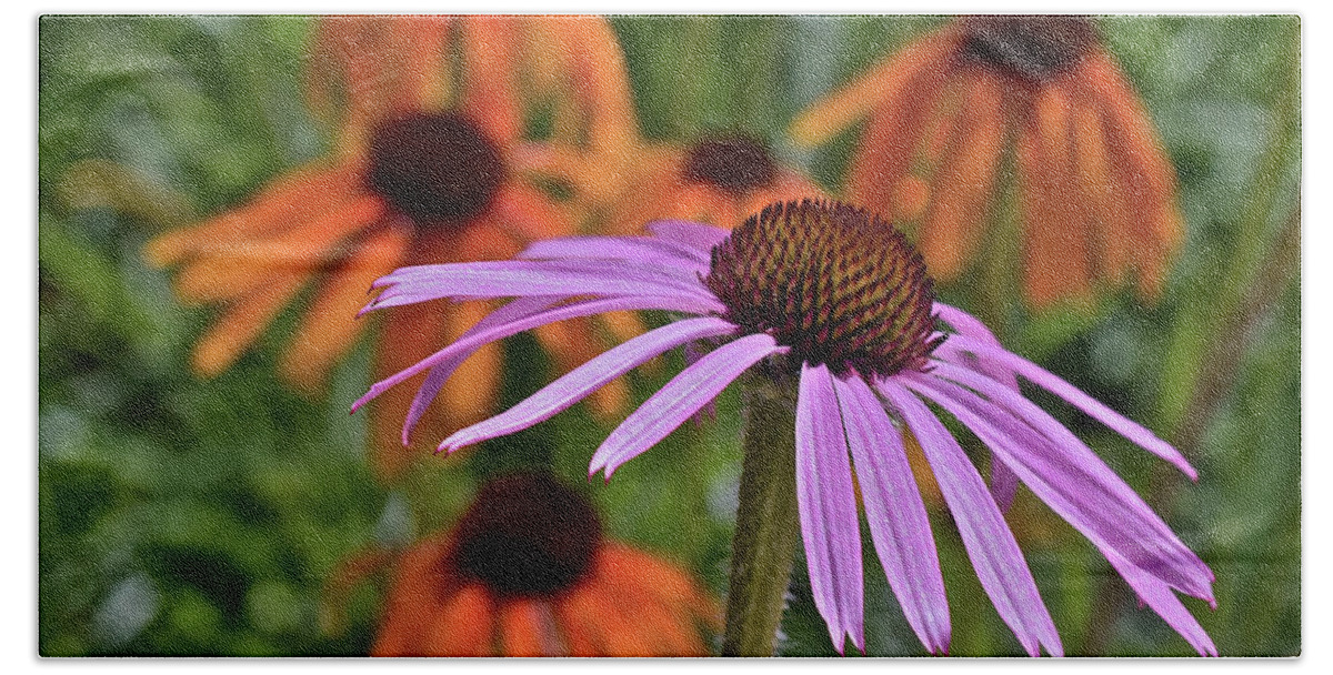 Coneflowers Bath Towel featuring the photograph 2019 June At the Gardens Coneflowers by Janis Senungetuk