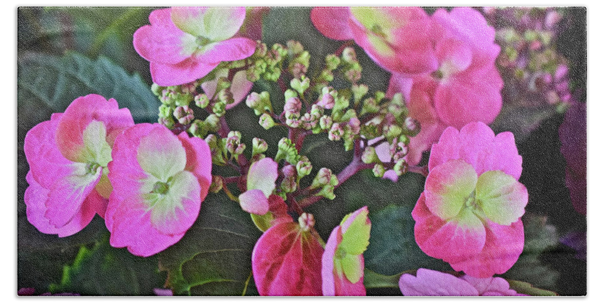 Flowers Hand Towel featuring the photograph 2019 June At the Gardens Tuff Stuff Hydrangea by Janis Senungetuk