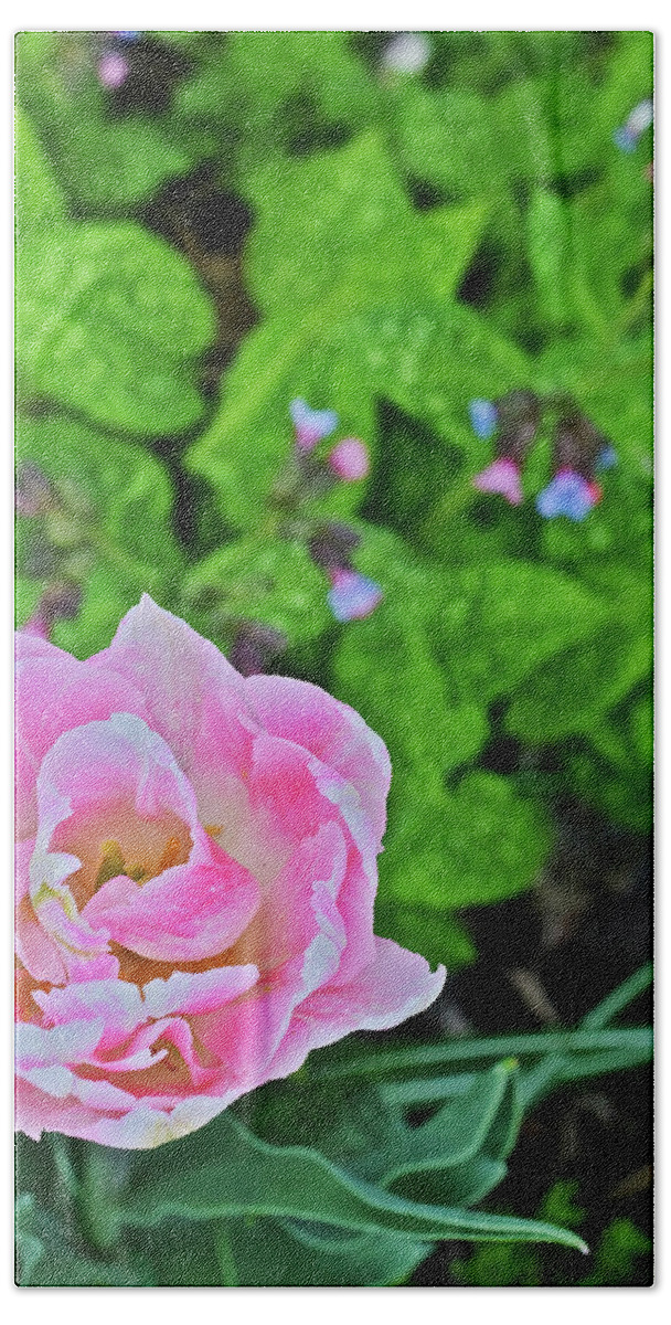 Garden Bath Towel featuring the photograph 2019 Vernon Pink Tulip 1 #2019 by Janis Senungetuk