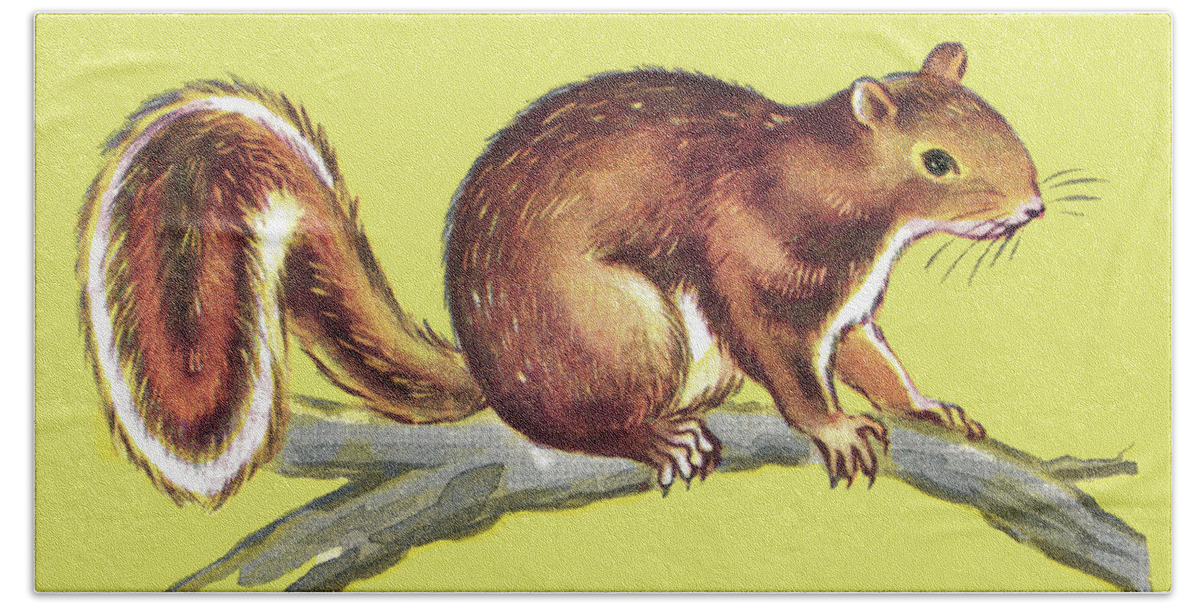 Animal Hand Towel featuring the drawing Squirrel on Branch #3 by CSA Images