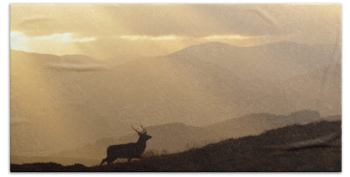 Stag Silhouette Hand Towel featuring the photograph Strathglass Silhouette #3 by Gavin MacRae