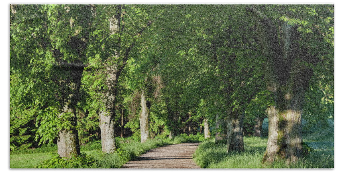 Estock Bath Towel featuring the digital art Tree-lined Road #5 by Christian Back