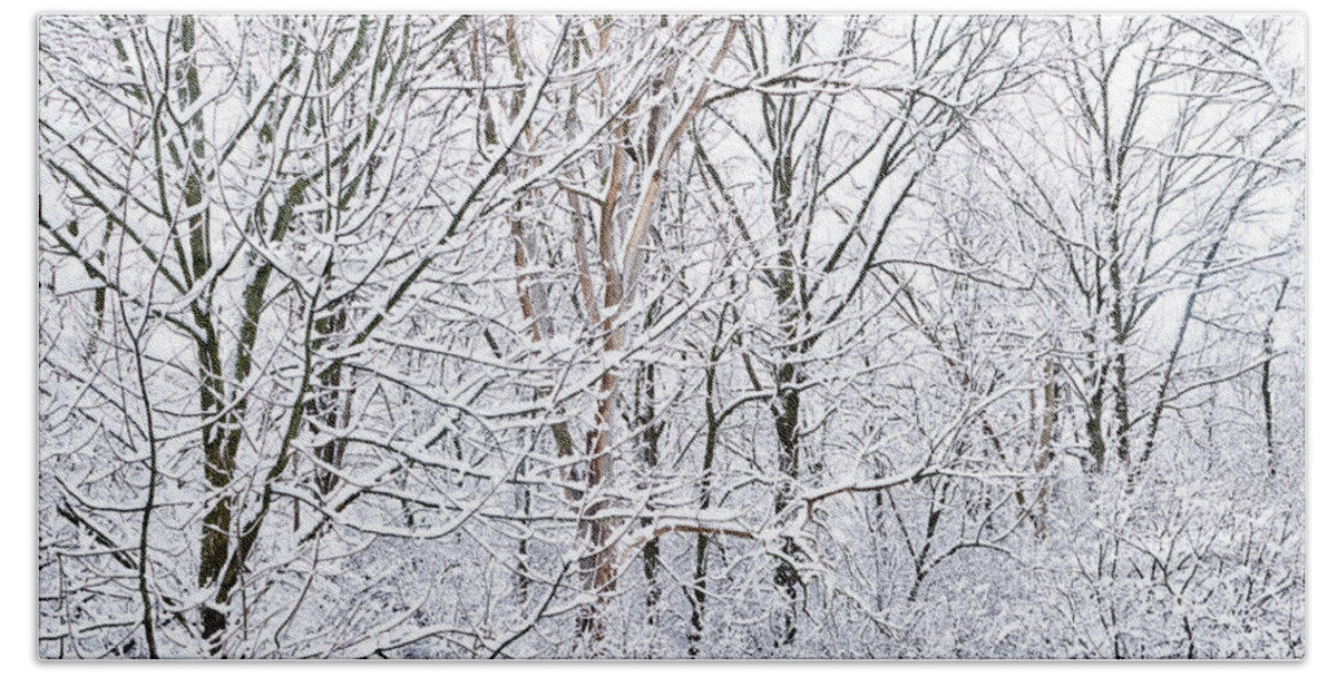 Winter Bath Towel featuring the photograph Winter Wonderland #5 by Nick Mares