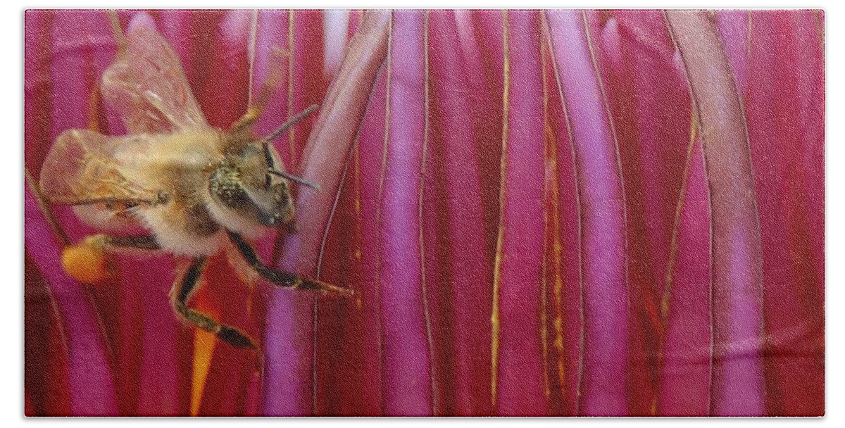 Susan Rydberg Hand Towel featuring the photograph A Bee's World by Susan Rydberg