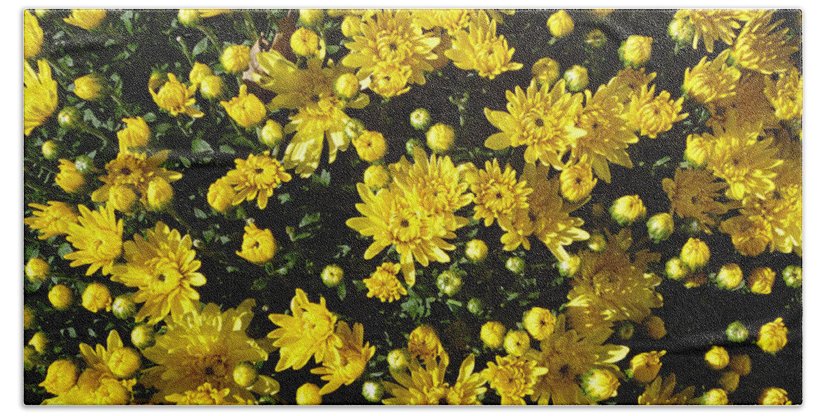 Bright Yellow Chrysanthemums Hand Towel featuring the photograph A Multitude of Yellow Mums by Mike McBrayer