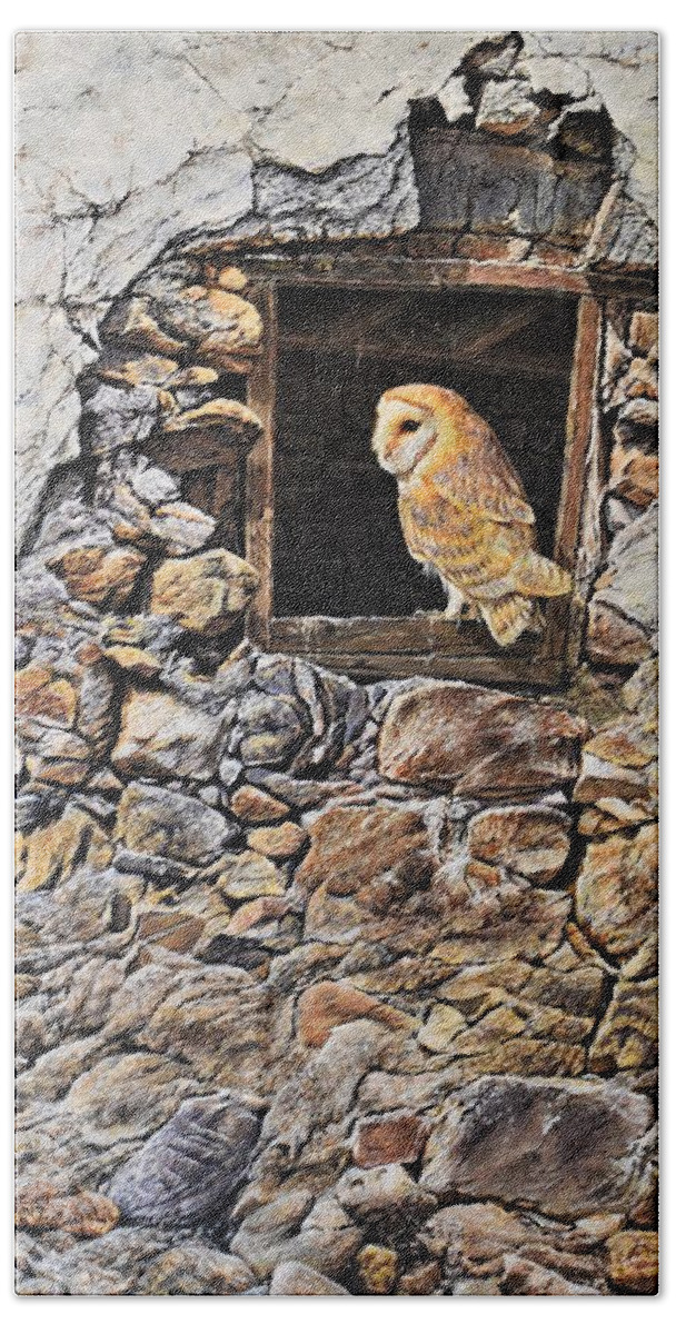 Barn Owl Bath Towel featuring the painting A New Home Barn Owl by Alan M Hunt