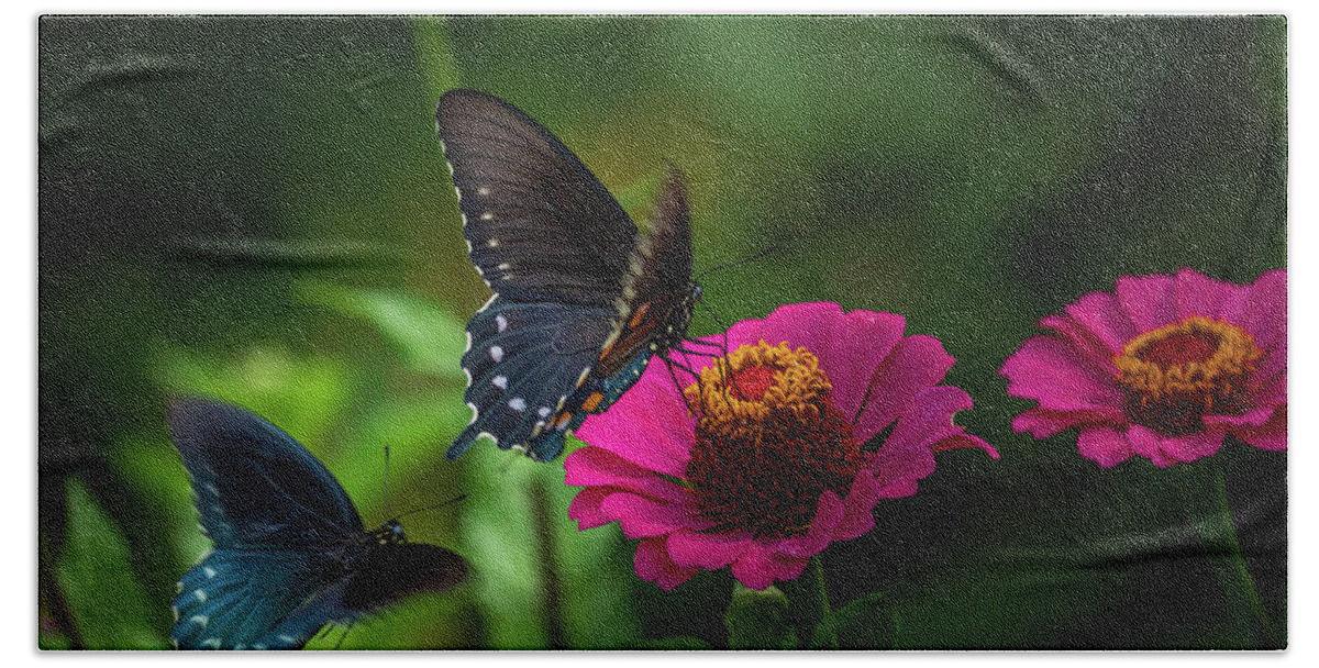 Butterfly Hand Towel featuring the photograph A Pair of Butterfiles by Allin Sorenson
