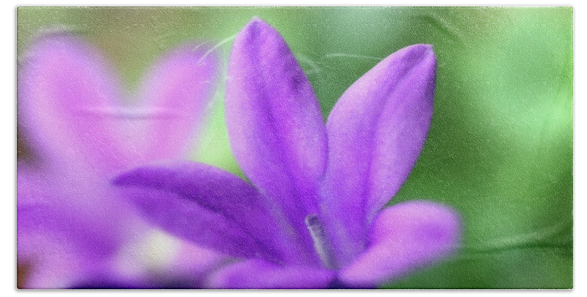 Flower Hand Towel featuring the photograph A Small Blue Bell Macro Photopgraph by Johanna Hurmerinta