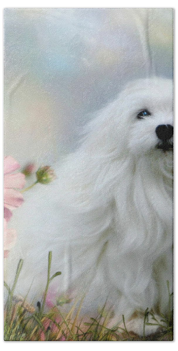 Snowdrop The Maltese Bath Towel featuring the photograph A Soft Summer Breeze by Morag Bates