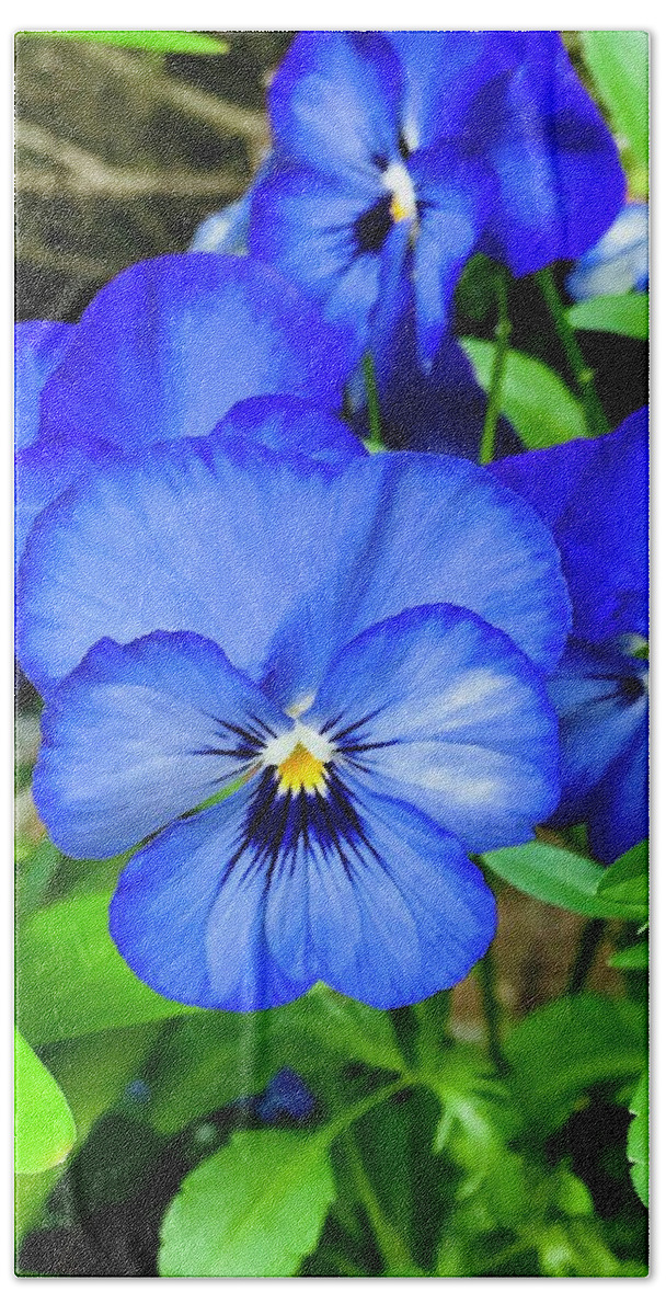 Plant Bath Towel featuring the photograph A Very Blue Pansy by Alida M Haslett