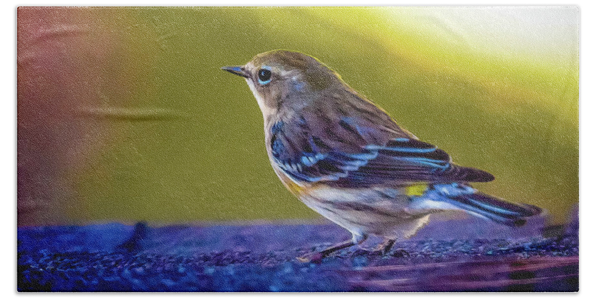 Bird Hand Towel featuring the digital art A Yellow Rumped Warbler Visitor by Ed Stines