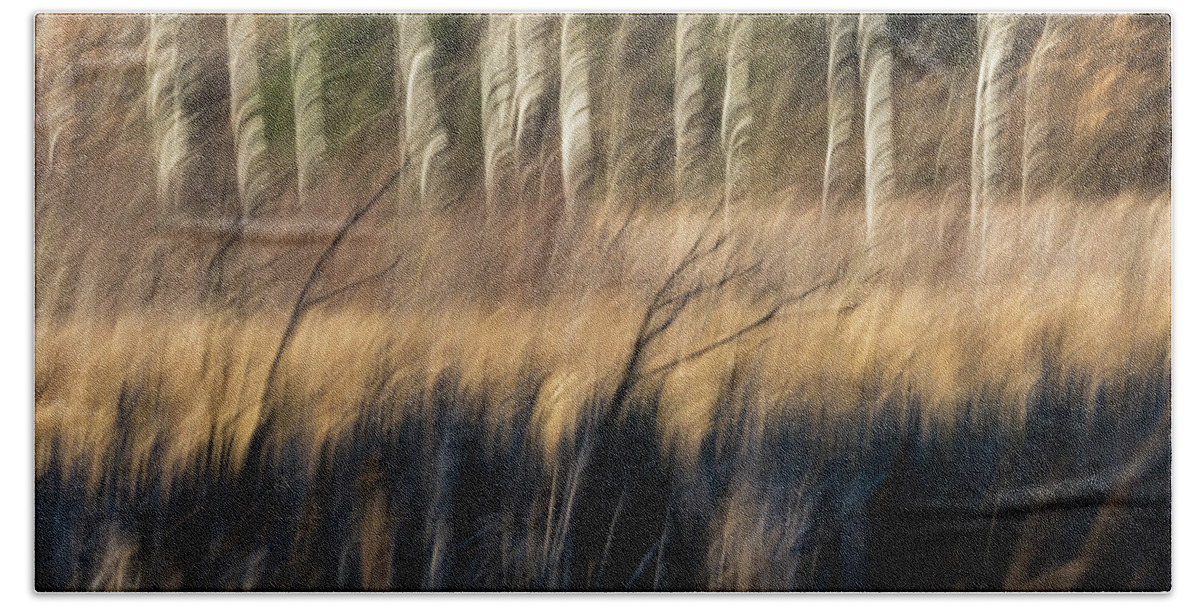 Abstract Bath Towel featuring the photograph Abstract of Birch At The Edge Of The Marsh 2018-1 by Thomas Young