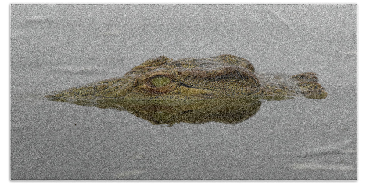 Croc Bath Towel featuring the photograph African Crocodile by Ben Foster