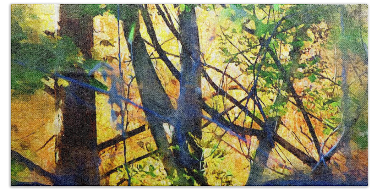 Trees Bath Towel featuring the mixed media Afternoon in the Woods by Christopher Reed