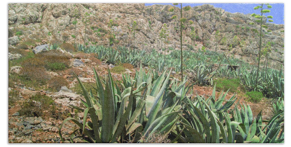 Landscape Bath Towel featuring the photograph Agave americana on Imeri Gramvousa by Sun Travels