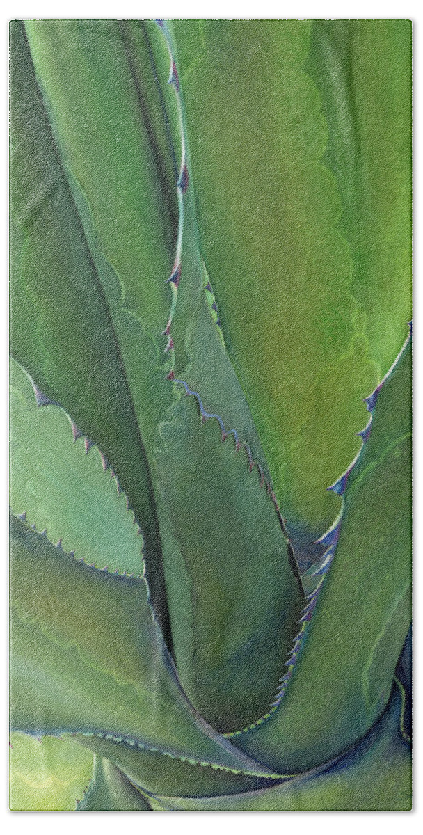Agave Bath Towel featuring the painting Agave Verde by Sandy Haight