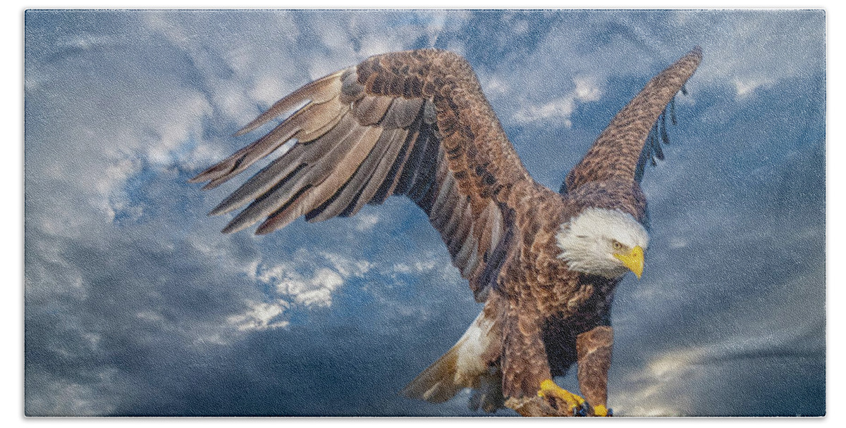 Eagles Hand Towel featuring the photograph American Bald Eagle Incoming TWO by DB Hayes