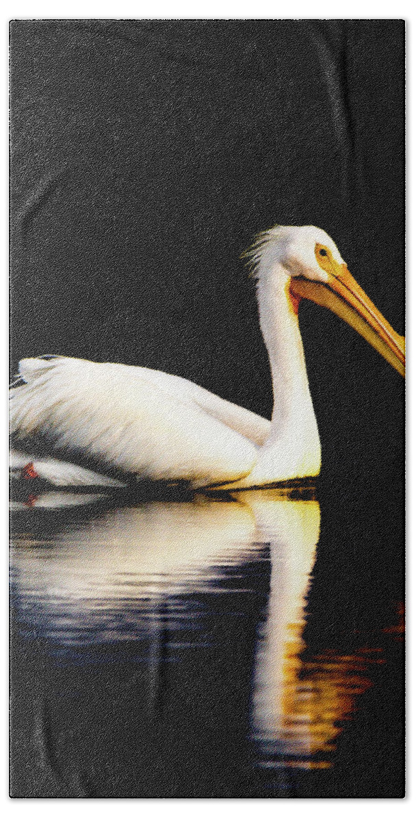 Birds Hand Towel featuring the photograph American White Pelican by Norman Peay