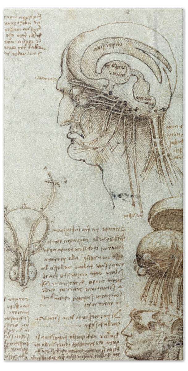 Leonardo Da Vinci Hand Towel featuring the drawing Anatomical studies, brain, cavities and nerves by Leonardo Da Vinci
