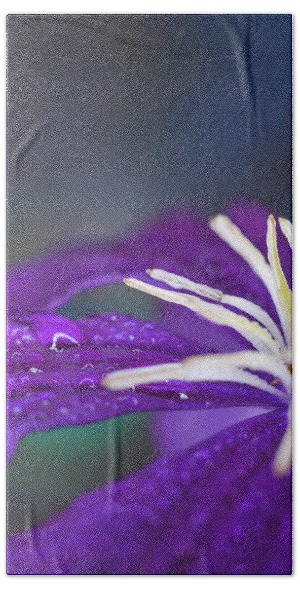 Purple Bath Towel featuring the photograph Ancient Joy by Michelle Wermuth