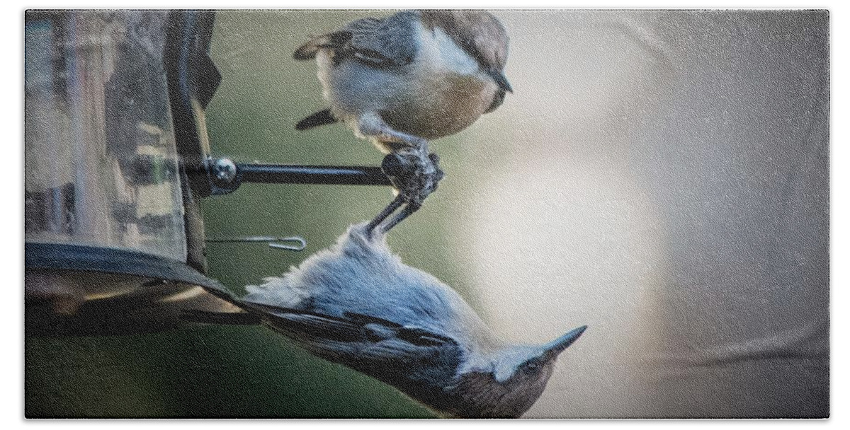 Brown Headed Nuthatch Bath Towel featuring the photograph And Just Where Do You Think YOU'RE Going by Mary Ann Artz