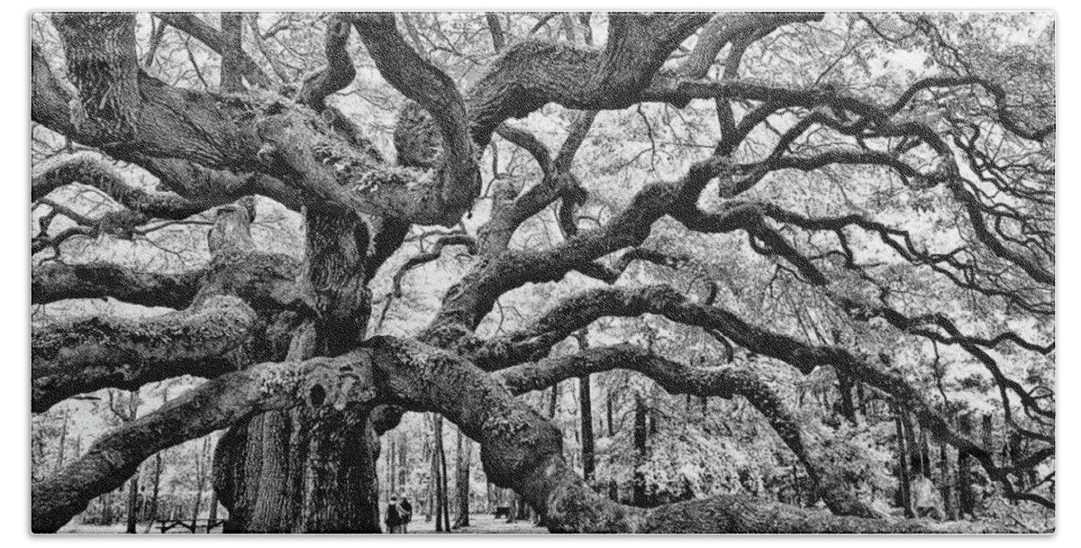 Charleston Hand Towel featuring the photograph Angel Oak Tree by Louis Dallara