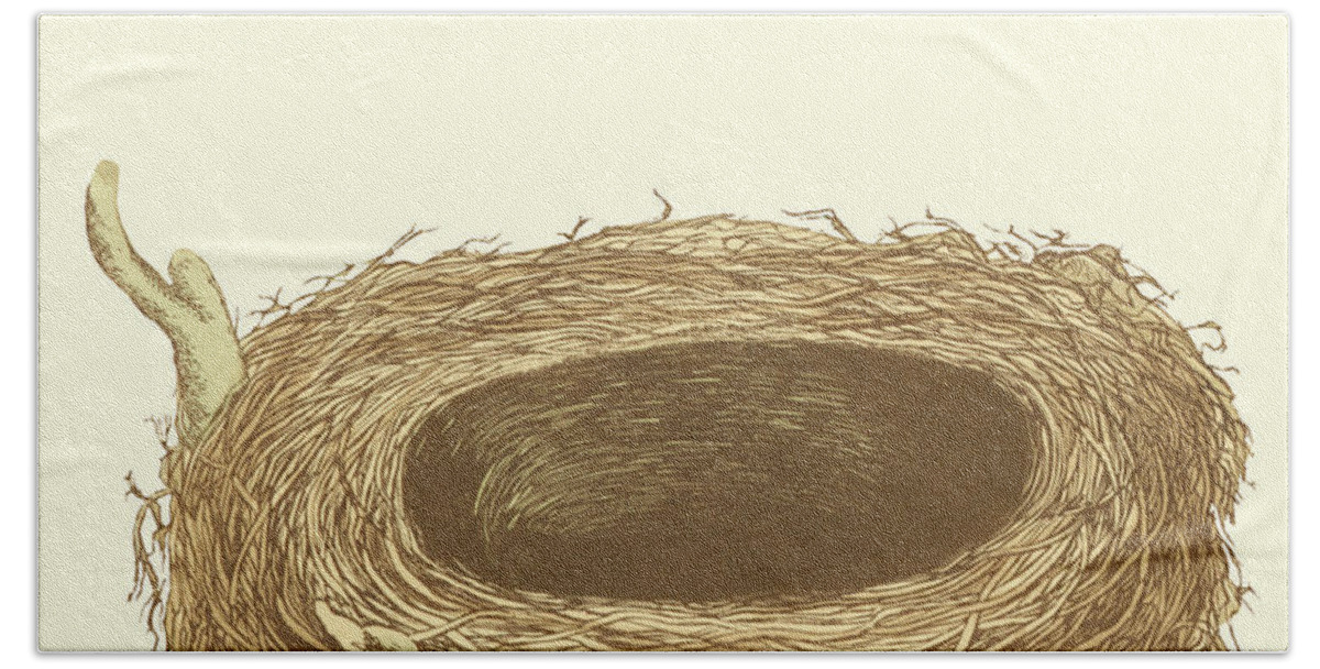 Bird Hand Towel featuring the painting Antique Nest & Egg IIi by Morris