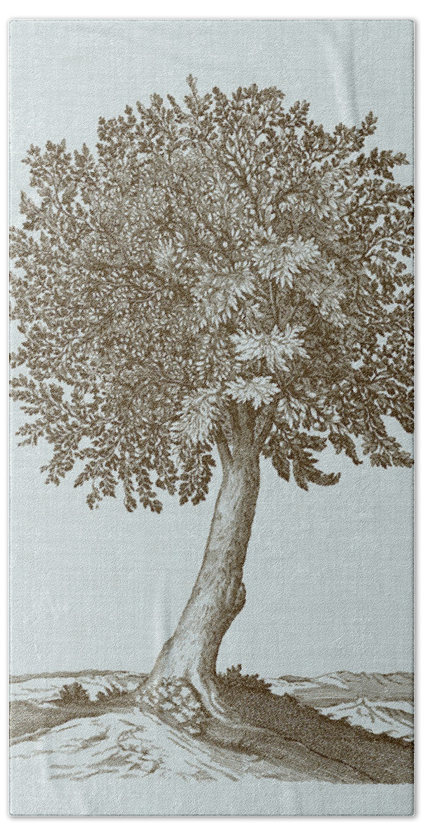 Botanical Hand Towel featuring the painting Antique Tree In Sepia I by Vision Studio