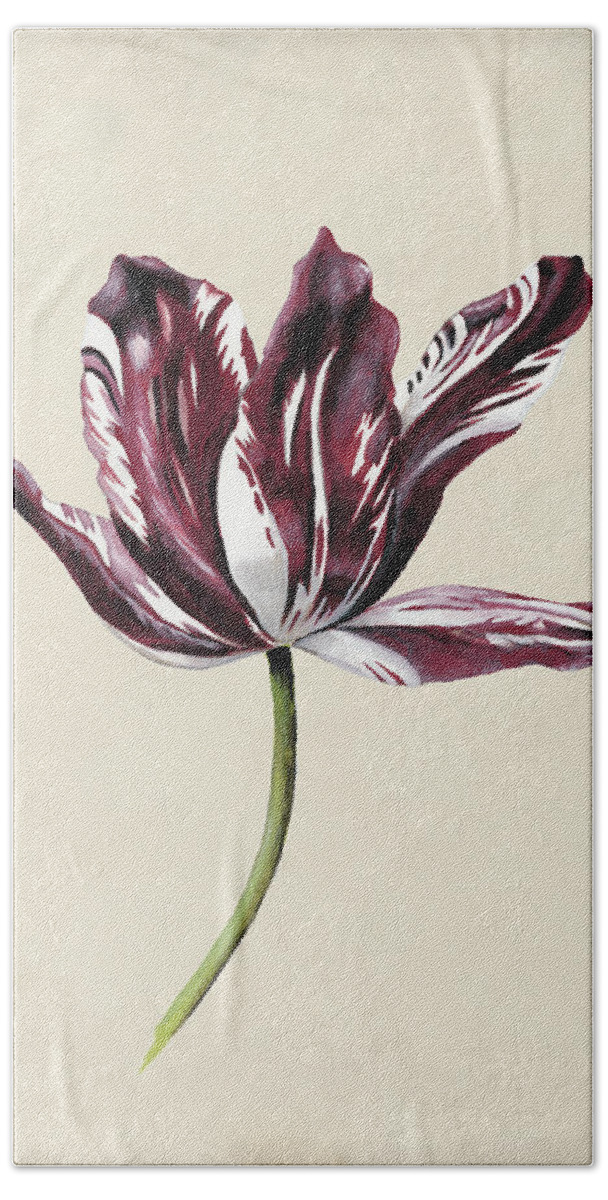Botanical Hand Towel featuring the painting Antique Tulip Study Iv by Naomi Mccavitt