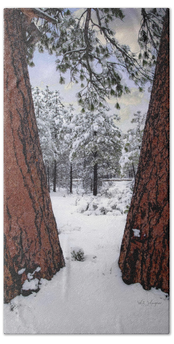 Arizona Bath Towel featuring the photograph Arizona Redwoods by Will Wagner