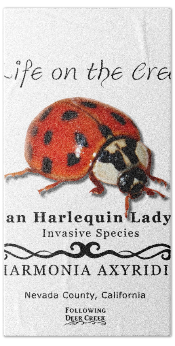 Ladybug Bath Towel featuring the digital art Asian Harlequin Ladybug by Lisa Redfern