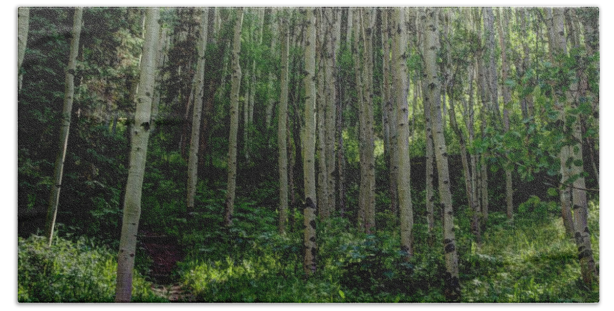 America Bath Towel featuring the photograph Aspens by Dimitry Papkov
