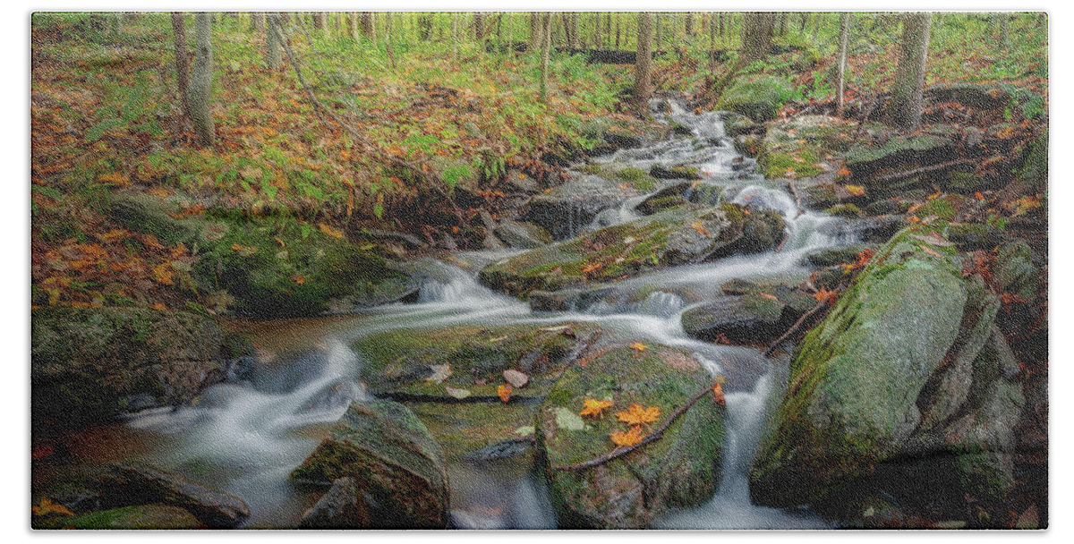 Square Bath Towel featuring the photograph Autumn Falling 2 square by Bill Wakeley
