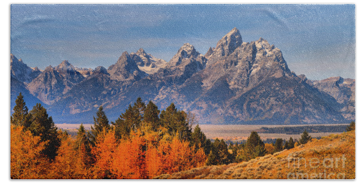 Grand Teton Hand Towel featuring the photograph Autumn Gold In The Tetons by Adam Jewell