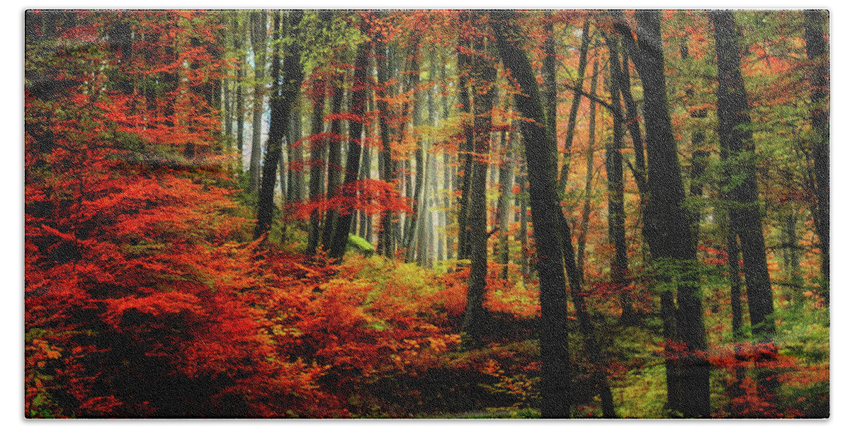 Autumn Bath Towel featuring the photograph Autumn Road by Philippe Sainte-Laudy