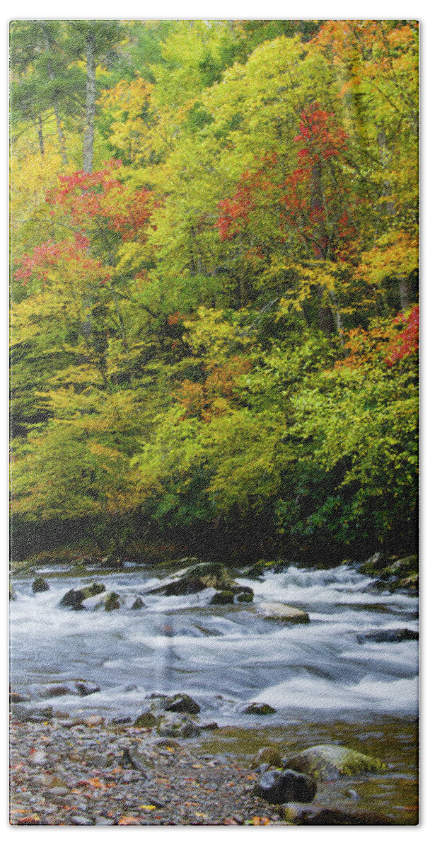 Autumn Bath Towel featuring the photograph Autumn Stream by Larry Bohlin