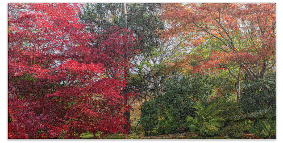 Jenny Rainbow Fine Art Photography Bath Towel featuring the photograph Autumn Time in Japanese Garden 5 by Jenny Rainbow
