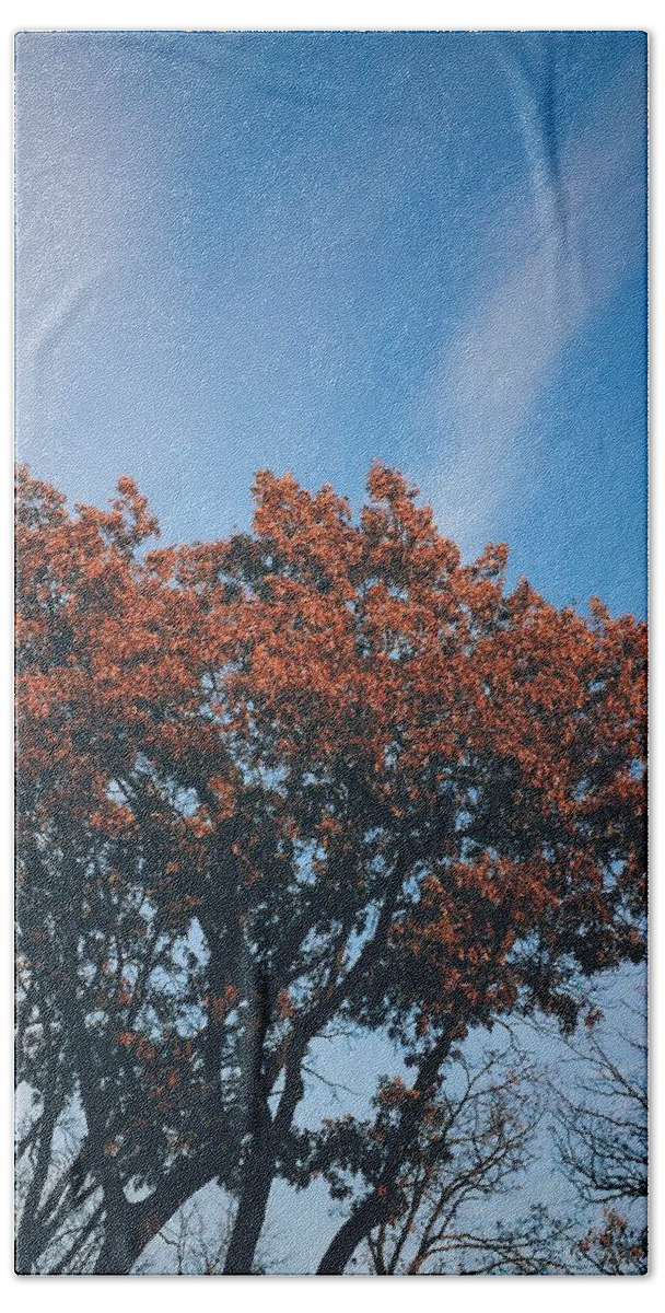 Nature Bath Towel featuring the photograph Autumn Tree and Blue Sky by Frank J Casella