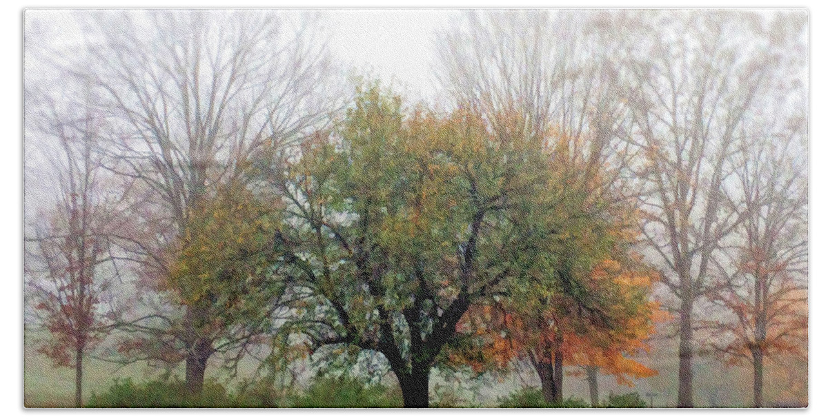 Autumn Bath Towel featuring the photograph Autumn Trees in the Fog 2 by Kerri Farley